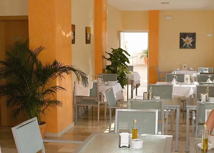 Loto Conil Lejlighedshotel